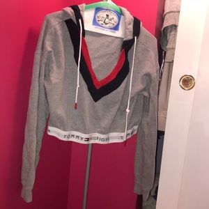 tommy holdover crop top